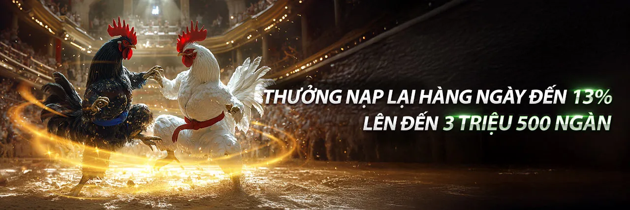 Trực Tiếp Gà Mỹ Đá Cựa Dao - VVWIN